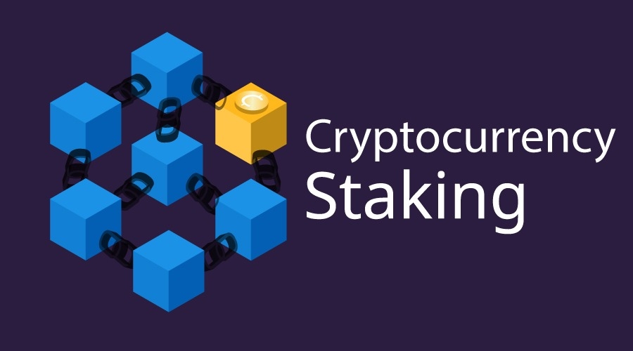 What is Staking? All You Need to know About Staking